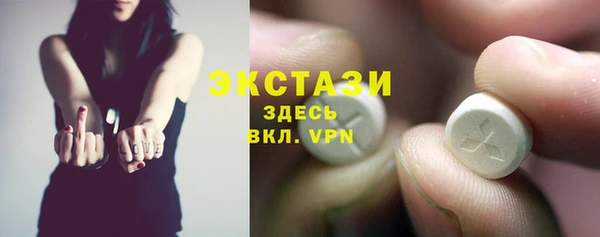 стаф Бородино