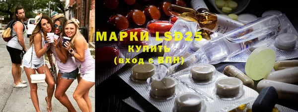 стаф Бородино