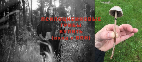 таблы Богородск