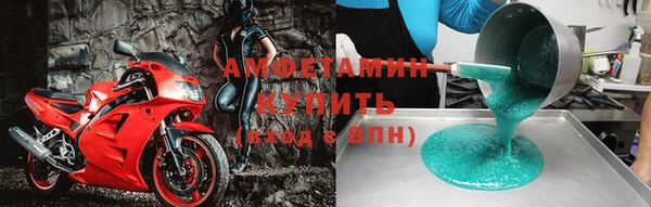 крисы Бронницы
