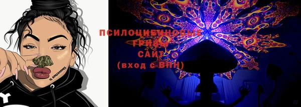 крисы Бронницы
