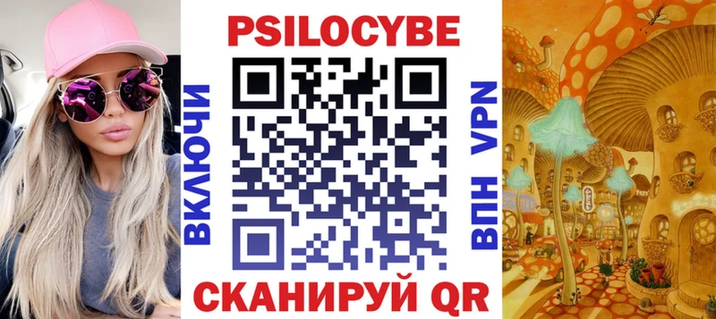 где купить наркотик  Белинский  Псилоцибиновые грибы Psilocybe 